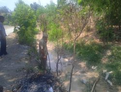 Akibat Limbah Cucian Pasir, Puluhan Hektar Sawah di Desa Banaran Terancam Gagal Panen