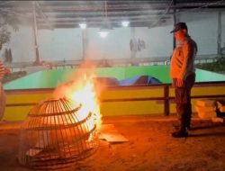 Polsek Candi Bongkar Sarana Sabung Ayam di Desa Klurak