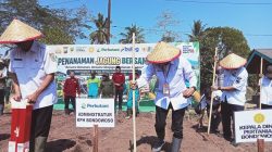 Perhutani KPH Bondowoso Dukung Penanaman Jagung Bersama untuk Perkuat Ketahanan Pangan