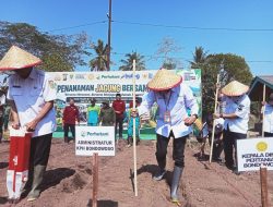 Perhutani KPH Bondowoso Dukung Penanaman Jagung Bersama untuk Perkuat Ketahanan Pangan