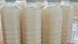 BGN Melarang Sari Kedelai di Menu MBG, Pasca Peristiwa siswa Keracunan di Gumukmas