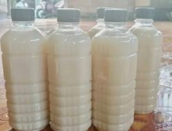 BGN Melarang Sari Kedelai di Menu MBG, Pasca Peristiwa siswa Keracunan di Gumukmas