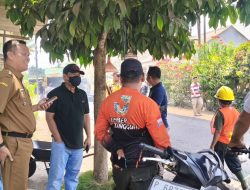 Kades Lojejer Sampaikan Terima Kasih kepada Bupati Jember Atas Realisasi Peningkatan Jalan di Desanya