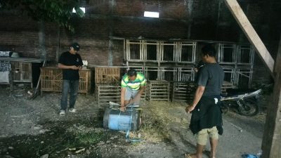 Polsek Waru Tindak Lanjuti Aduan Arena Sabung Ayam di Desa Berbek