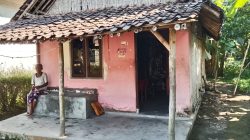 Derita Ibu Sumirah Lansia 73 tahun Asal Jombang Kabupaten Jember, Hidup Sebatang Kara Tinggal di Gubuk Reot Tak Punya MCK