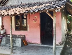 Derita Ibu Sumirah Lansia 73 tahun Asal Jombang Kabupaten Jember, Hidup Sebatang Kara Tinggal di Gubuk Reot Tak Punya MCK