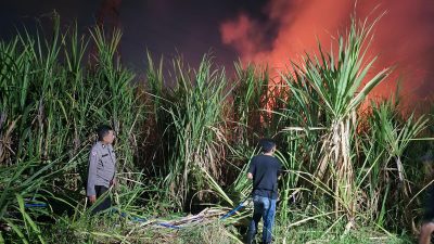 Polisi Bersama Masyarakat Padamkan Karhutla di Lahan Tebu Desa Popoh