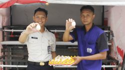 Lapas Sidoarjo Panen Telur Setiap Hari, Peternakan Ayam Kampung Elba Jadi Bagian dari Pembinaan Kemandirian Warga Binaan