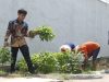Wujud Mendukung Ketahanan Pangan,Warga Binaan Lapas Kelas IIA Sidoarjo Panen Kangkung