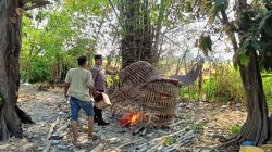Polsek Sukodono Tindak Lanjuti Dumas Sabung Ayam di Desa Bangsri
