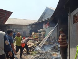 Toko Bangunan 999 di Sukosewu Gandusari Terbakar, Kerugian Capai Ratusan Juta Rupiah