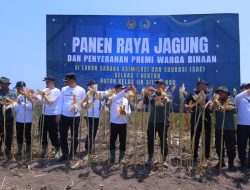 Perhutani Bondowoso dan Rutan Situbondo Gelar Panen Raya Jagung, Perkuat Ketahanan Pangan dan Kemandirian Warga Binaan