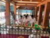 Lestarikan Tradisi Tahunan, Pemkab Bojonegoro Gelar Ziarah Sakral ke Makam Leluhur