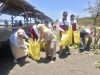Gerakan Indonesia ASRI, Bunda Hermin Anggota Komisi C DPRD Jatim dan Lanjutkan Aksi Bersih-Bersih Sampah di Pantai Pancer Puger
