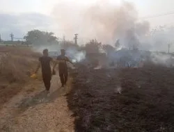 Bhabinkamtibmas Turut Terjun Padamkan Kebakaran Lahan di Desa Kalisogo Sidoarjo