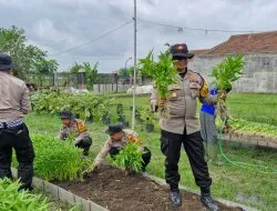 Panen Kangkung di Balongbendo, Wujud Nyata Swasembada Pangan di Indonesia