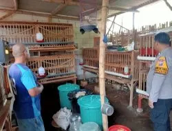 Bhabinkamtibmas Desa Kepunten Polsek Tulangan Dorong Ketahanan Pangan Bergizi Lewat Program P2B