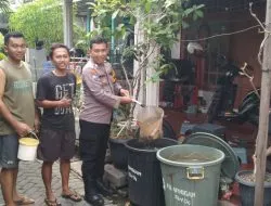 Bhabinkamtibmas Sidokumpul Tinjau Program Ketahanan Pangan Budidaya Ikan Lele