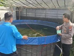 Budidaya Ikan Lele di Desa Suruh Sukodono Berkembang Baik, Topang Ketahanan Pangan Polresta Sidoarjo