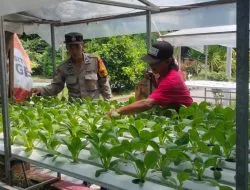 Polsek Candi Motivasi Ketahanan Pangan Lewat Sayur Hidroponik di Desa Gelam