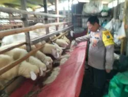 Polsek Tulangan Dorong Swasembada Pangan Lewat Pengecekan Lahan Peternakan Kambing di Desa Jiken